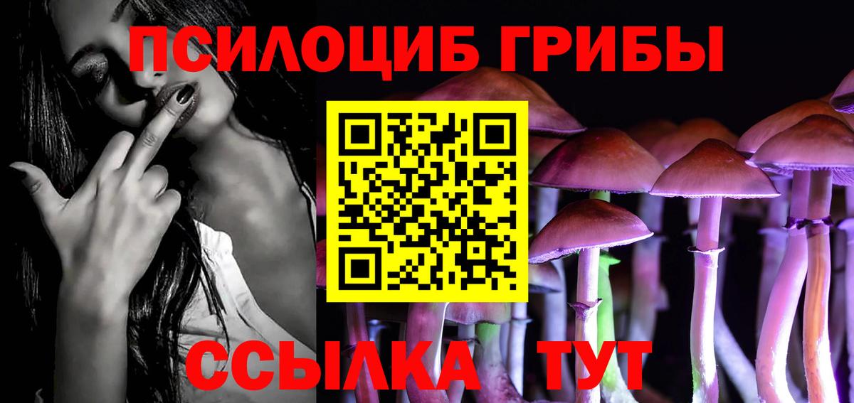 Белогорск  Псилоцибиновые грибы Cubensis  Вход с VPN  Галлюциногенные грибы Cubensis 
